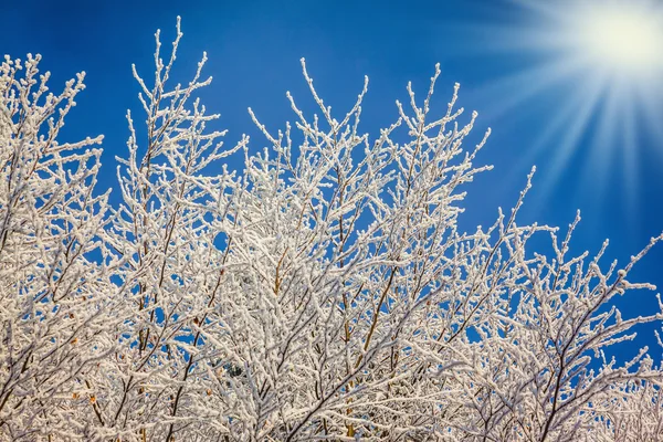 Kylmä aurinkoinen aamu — kuvapankkivalokuva