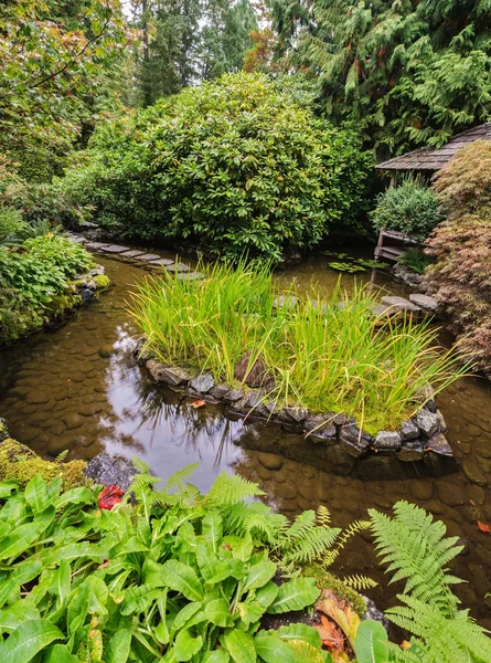 Lagoa japonesa com lírios — Fotografia de Stock