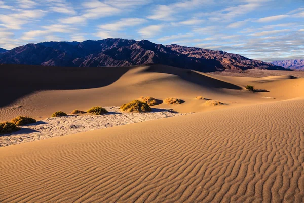 Утро над песчаными дюнами — стоковое фото