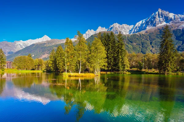 Lake and evergreen spruce — Stock Photo, Image