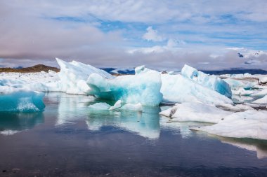 Suya yansıyan yüzen buz 
