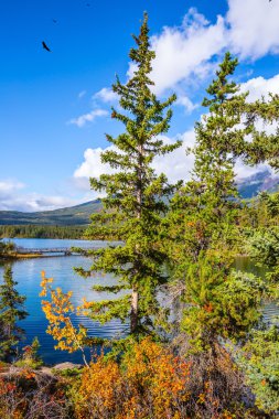  Uzun köknarlar arasında Piramit Gölü