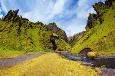 Yaz çiçek açan İzlanda