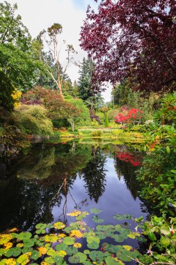  Butchart bahçeleri Vancouver Adası