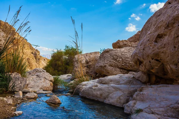 Paesaggio mediorientale — Foto Stock