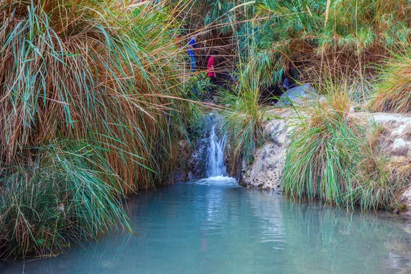 Reserva Natural de Ein Gedi — Foto de Stock