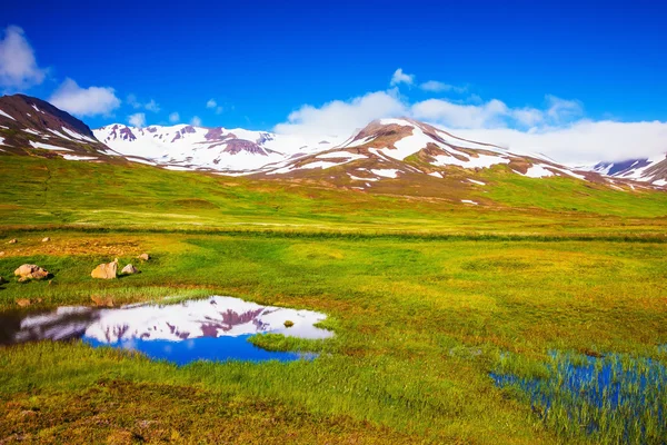 Belo verão Islândia — Fotografia de Stock