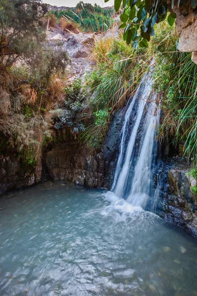 Cachoeira e pequeno lago cênico — Fotografia de Stock