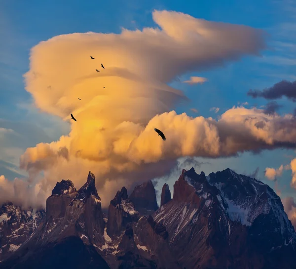 Nationaal park torres del paine — Stockfoto