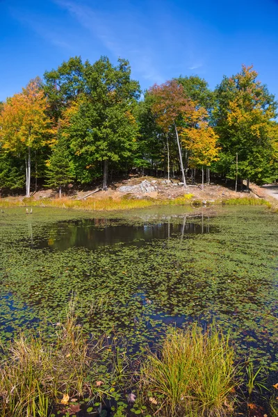 Zoölogisch park in Canada — Stockfoto