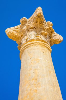 Muhteşem Roma sütunu 