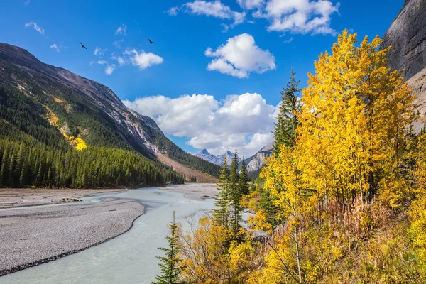 Herfst vermindering van water in de rivier — Stockfoto