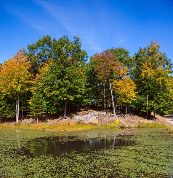 Zoölogisch park in Canada — Stockfoto