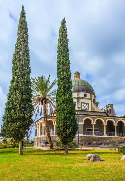 Το κυπαρίσσι και τα φοινικόδεντρα — Φωτογραφία Αρχείου