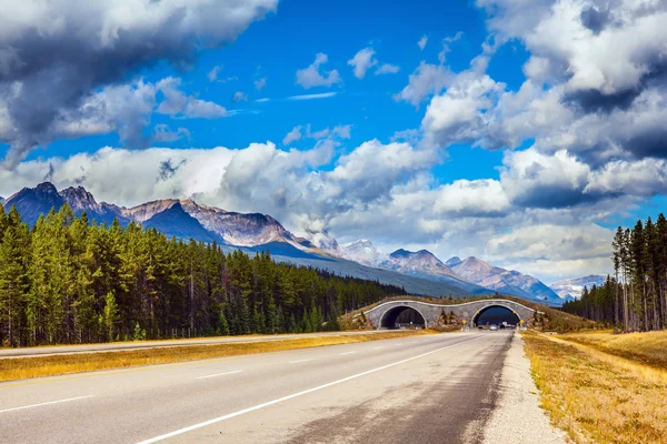 Brücke über die Autobahn — Stockfoto