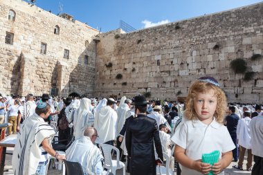 Sarı bukleler ile şirin küçük çocuk 