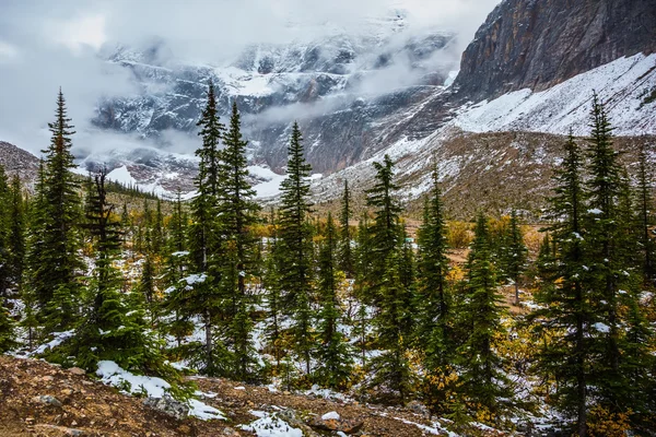 Mount edith cavell — Zdjęcie stockowe