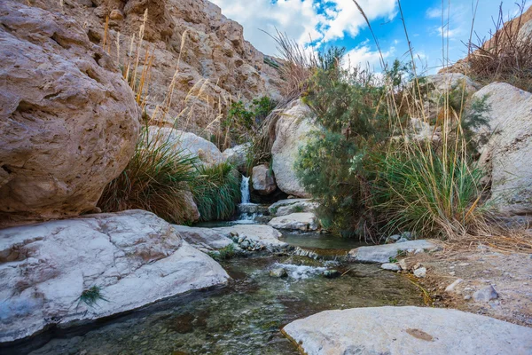 Pittoreske rotsachtige kloof — Stockfoto