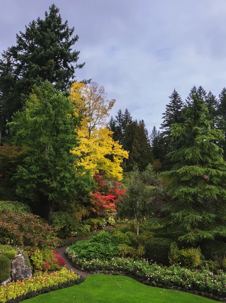 Kwiat na wyspie Vancouver — Zdjęcie stockowe