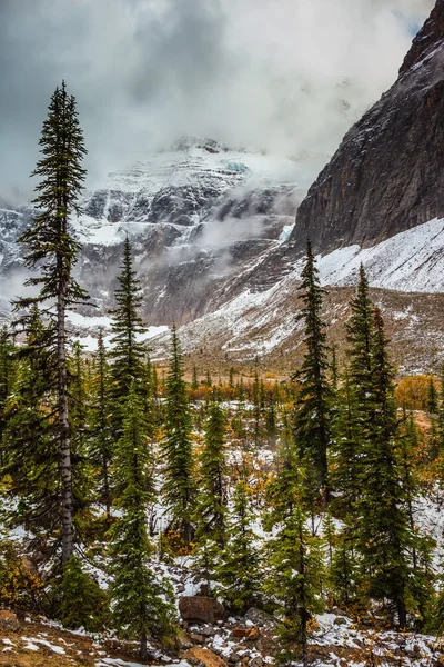 Herfst in het Nationaal Park Jasper — Stockfoto