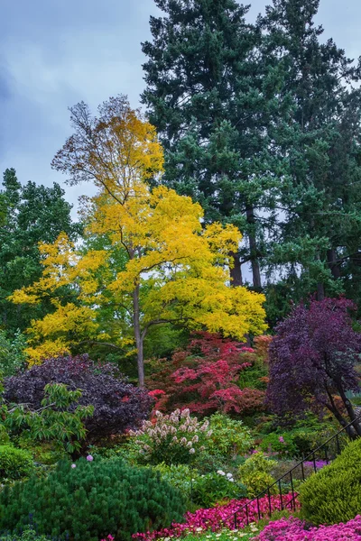 Butchard Garden en la isla de Vancouver — Foto de Stock