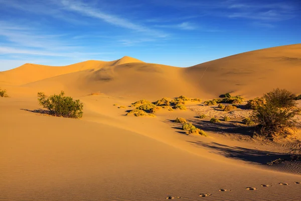 Sandy barkhans shine orange light — Stock Photo, Image