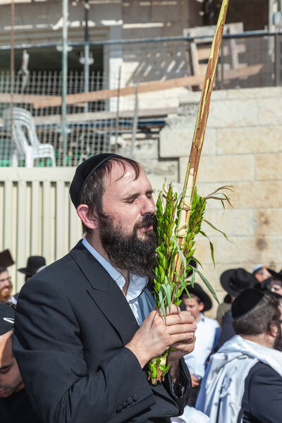 Pilgrims brought the prayer ritual and four plants