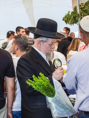 Beyaz sakallı Ortodoks Yahudi 