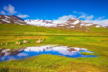 Spiny kreeft, garnalen en krab benen rijst 