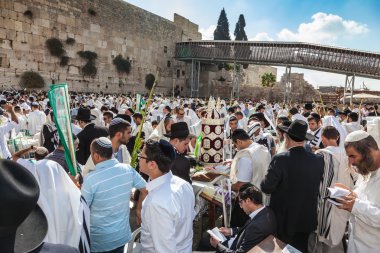 Muhteşem durumda Tevrat Rulo
