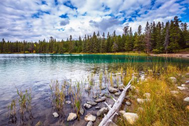 berrak su ile oval göl