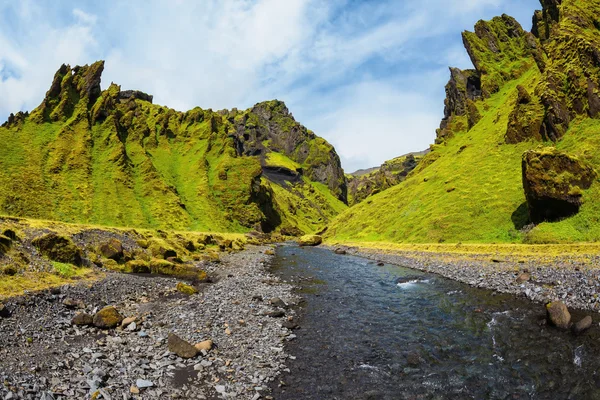 Расцвет лета в Исландии — стоковое фото