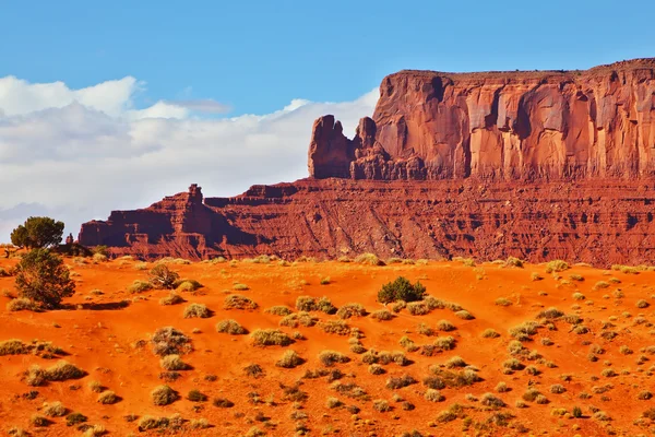 Kırmızı çöl Navajo — Stok fotoğraf