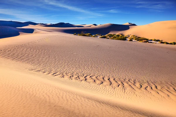 Mañana solar en Death Valley —  Fotos de Stock