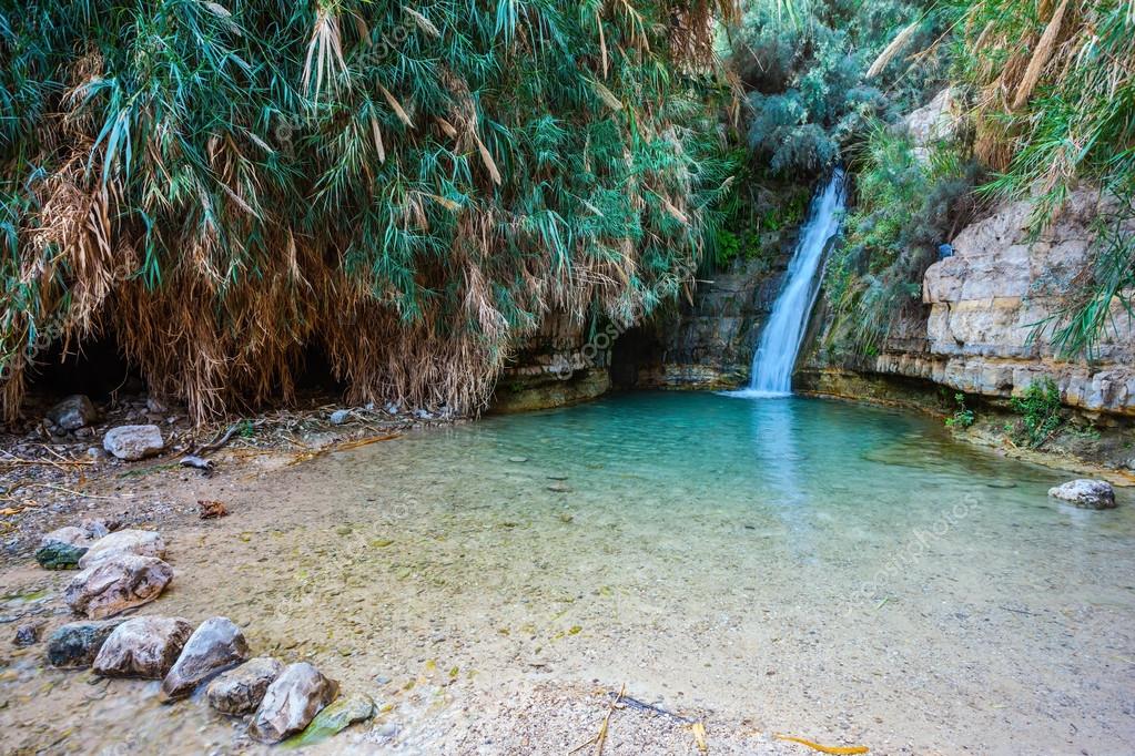 National park Ein Gedi, Israel — Stock Photo © kavramm #114850628