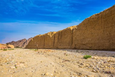 Kara Kanyon'un görkemli başlangıcı