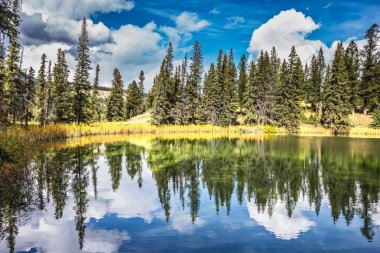 Gölün aynalı suyuna yansıyan orman