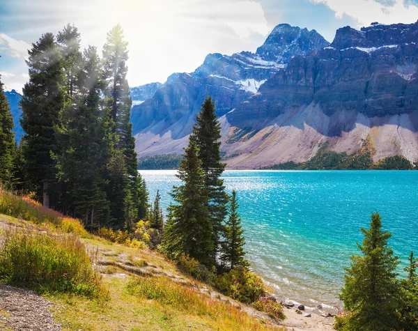 Le lac est entouré de pins — Photo