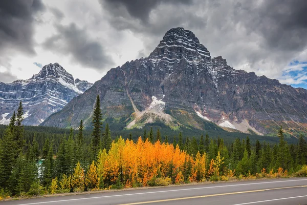 Majestic mountains and glaciers — Stock Photo, Image