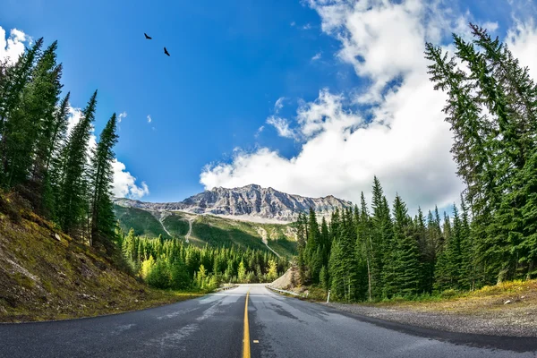 Estrada pitoresca no Parque Nacional Yoho — Fotografia de Stock