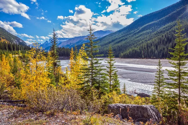 Herfst in het Nationaal Park Jasper — Stockfoto