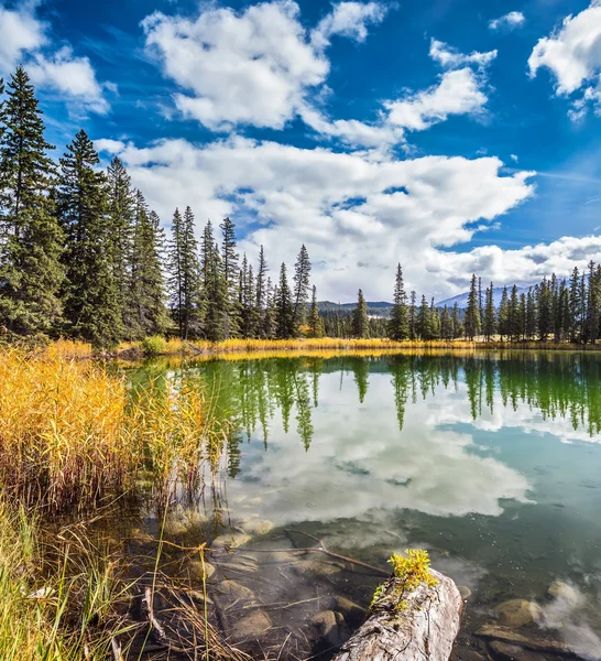Lago circular poco profundo en el bosque de otoño —  Fotos de Stock