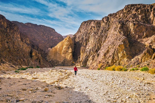 Woman walking along Black canyon