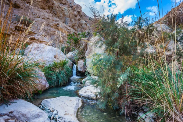 Pitoresk taşlı gorge — Stok fotoğraf