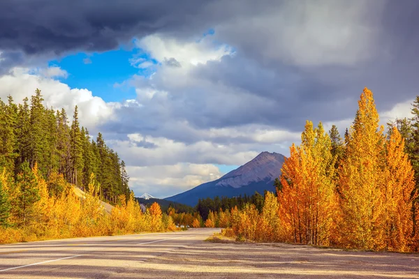 Banff Ulusal Parkı'nda yol — Stok fotoğraf