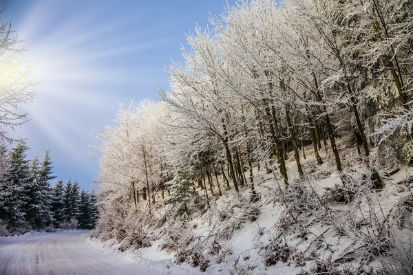 Heller und sonniger Neujahrsmorgen — Stockfoto