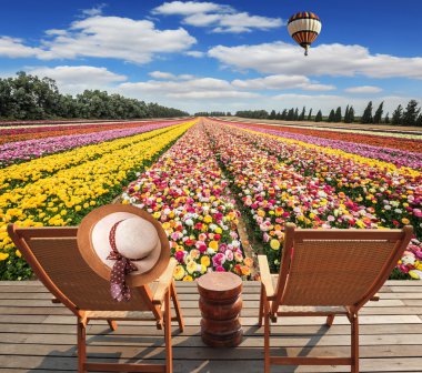 ahşap platform üzerinde şezlong duran