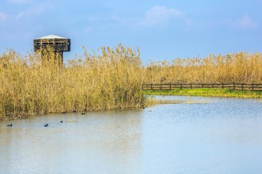  Ahşap yuvarlak kulenin 