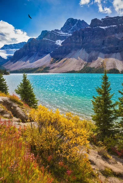 Jezioro łukowe w Parku Narodowym Banff — Zdjęcie stockowe