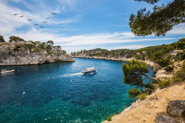  Lagün üzerinde yelken beyaz yelkenli yat